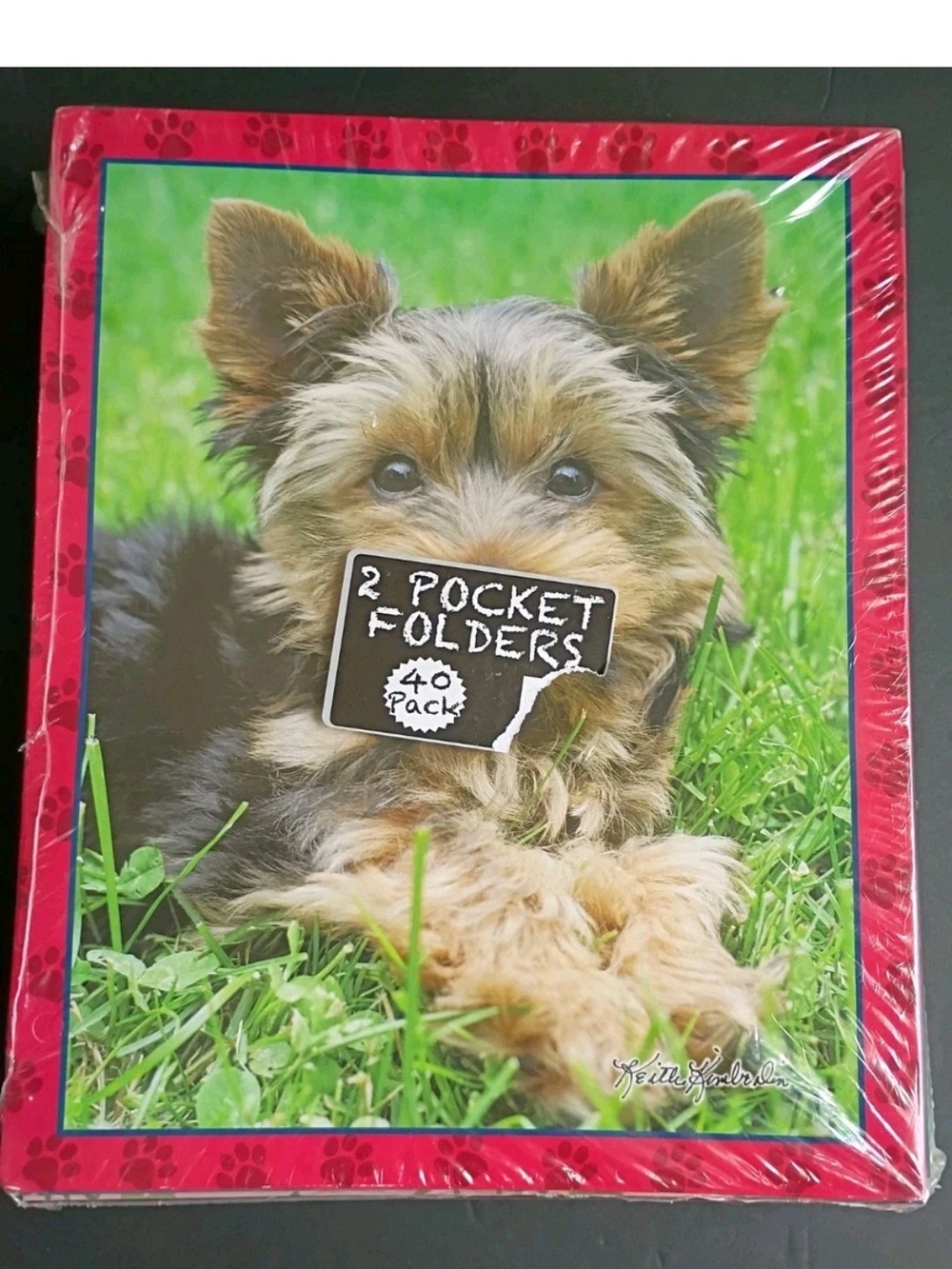 Retro Class Act Keith Kimberlin 40 Pack Of 2 Pocket Folders Puppies See Descri